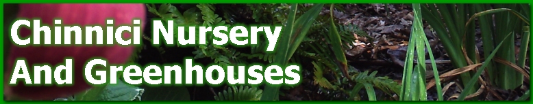 Chinnici Nursery and Greenhouses